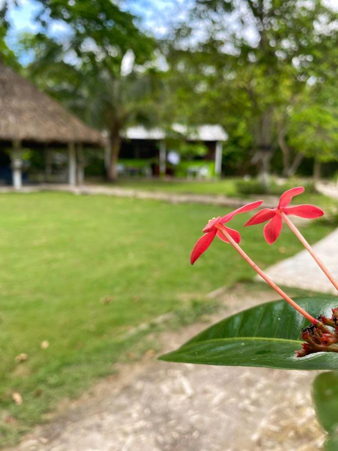 Eco Hotel Bosque Encantado อีสลากรันเด ภายนอก รูปภาพ