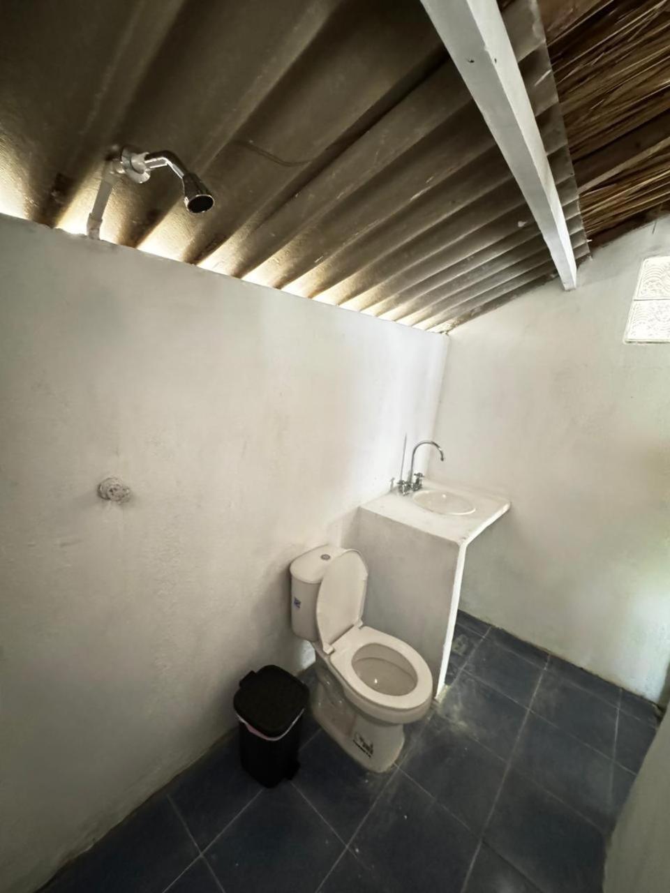 Eco Hotel Bosque Encantado อีสลากรันเด ภายนอก รูปภาพ